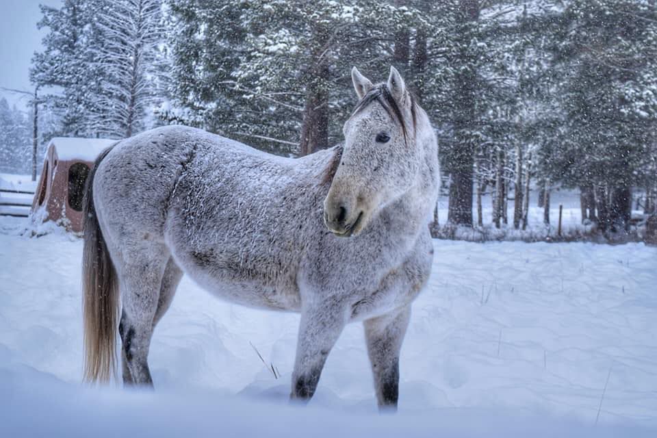 Montana snow photos from readers